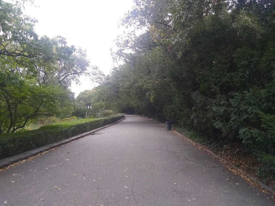 Tree-lined pathways winding through a city park with benches and soft morning light.