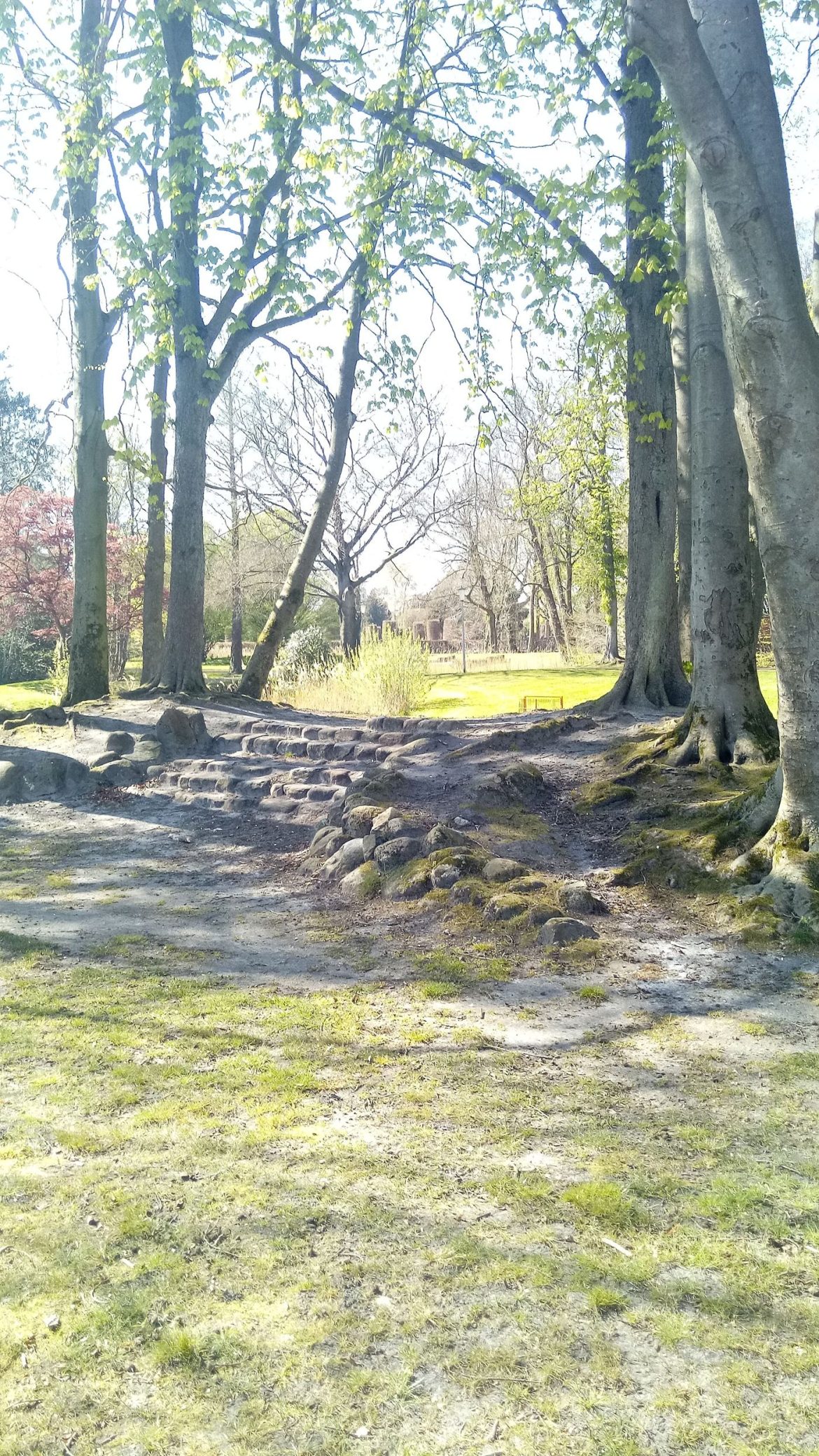 Tree-lined pathways through a city park bordered by wildflower planting and green lawns.